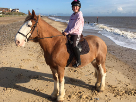 Beach Riding Holiday Suffolk